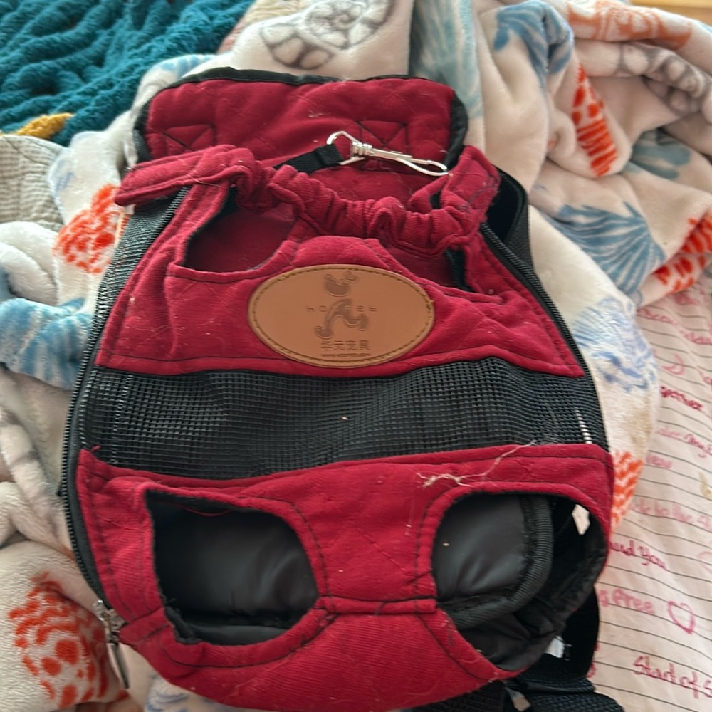 My dog has outgrown this little doggy backpack, but it’s very beautiful.